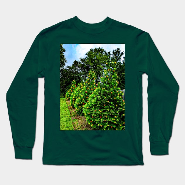 Four pretty lit pine trees Long Sleeve T-Shirt by PandLCreations